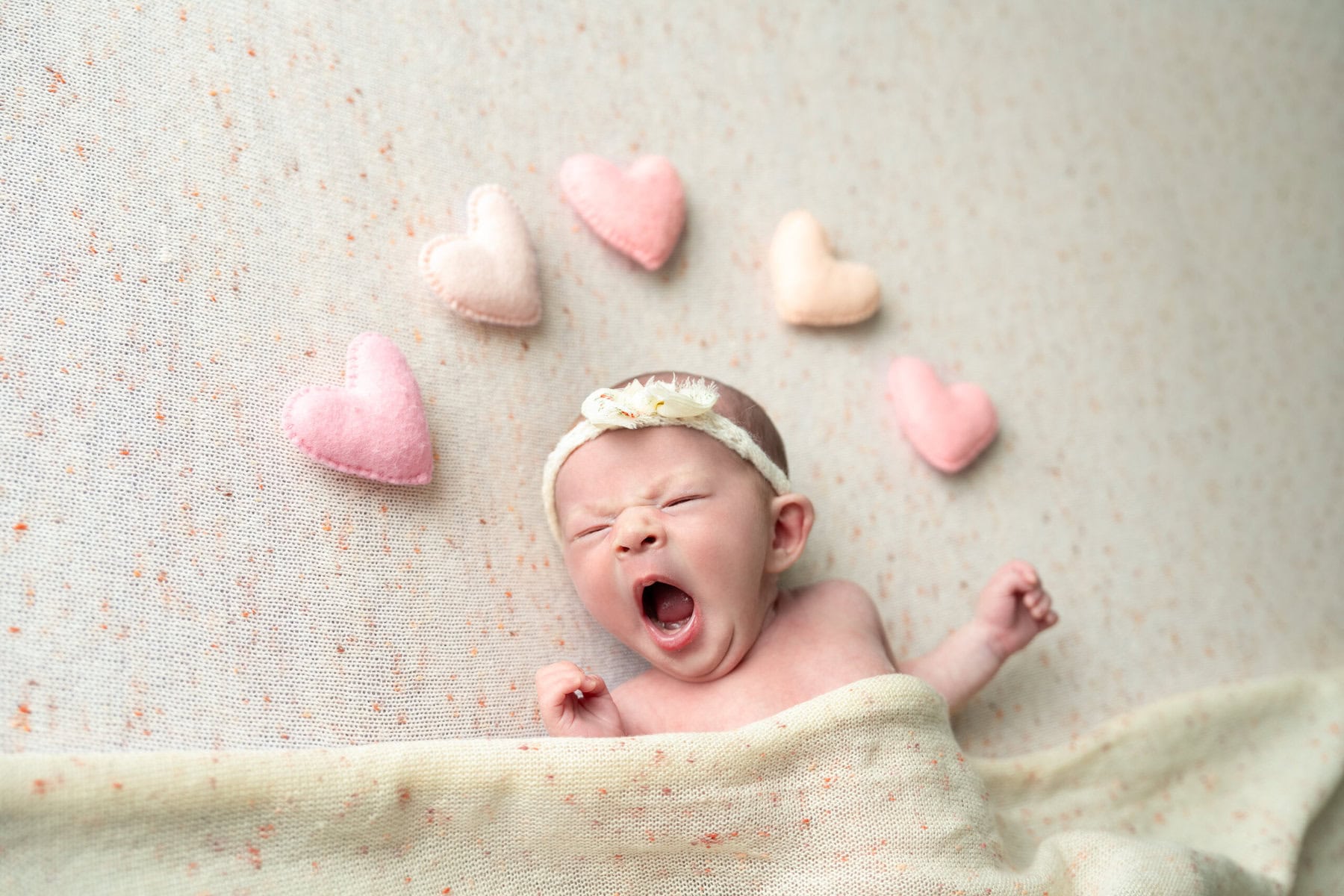 Newborn studio photoshoot in Cardiff South Wales